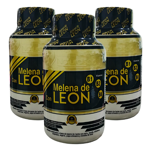 Melena de León (Lion's Mane) | Foco & Memoria