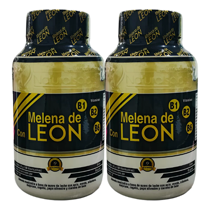 Melena de León (Lion's Mane) | Foco & Memoria