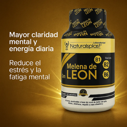 Melena de León (Lion's Mane) | Foco & Memoria