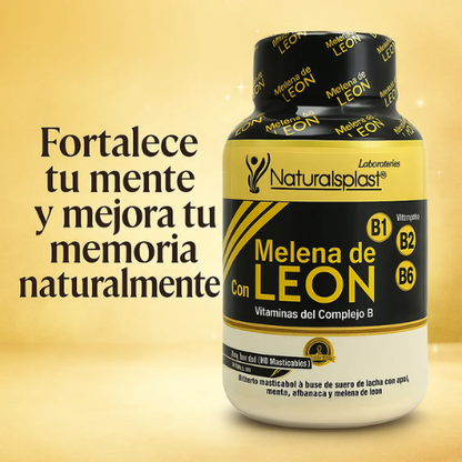 Melena de León (Lion's Mane) | Foco & Memoria