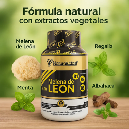 Melena de León (Lion's Mane) | Foco & Memoria